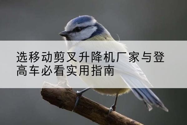 滨海新区电动升降机厂家-选移动剪叉升降机厂家与登高车必看实用指南