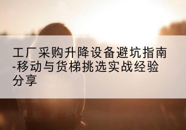 滨海新区移动式升降机怎么选-工厂采购升降设备避坑指南-移动与货梯挑选实战经验分享