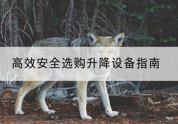 滨海新区升降货梯厂家推荐-*安全选购升降设备指南