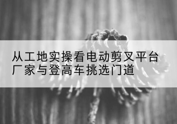 滨海新区电动剪叉升降平台厂家-从工地实操看电动剪叉平台厂家与登高车挑选门道